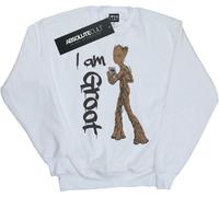 Marvel - Sweat-shirt garçon "Avengers Infinity War" BI6681 (116) (Blanc)