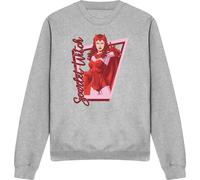 Marvel - Sweat-shirt homme/femme unie TV14969 (XXL) (Sport Heide)