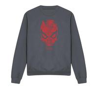 Marvel - Sweat WEBHEAD - Adulte (TV28917)