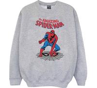 Marvel - "The Amazing Spider-Man" Sweat-shirt pour homme BI40975 (XXL) (Gris)