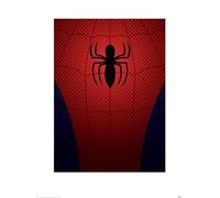 Marvel Ultimate Spider-Man (Spider-Man Torso) 60 x 80 cm Toile Imprimée
