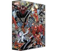 Marvel-Verse : Coffret Spider-Verse - COMPTE FERME Collectif (Scénario), Collectif (Dessinateur)