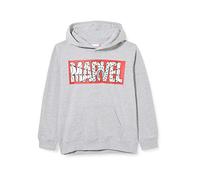Marvel Web, Sweat à Capuche Garçon, Grey, 12-13 Years