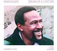 Gaye, Marvin - Dream of a Lifetime