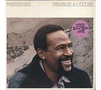 Marvin Gaye - Dream Of A Lifetime [Vinyl LP]