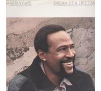 MARVIN GAYE - DREAM OF A LIFETIME VINYL LP[CBS26239]1985 MARVIN GAYE