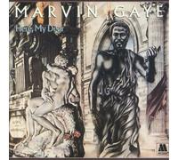 Marvin Gaye – Here, My Dear – CD – Island