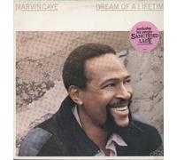 Marvin Gaye - Marvin Gaye: Dream Of A Lifetime