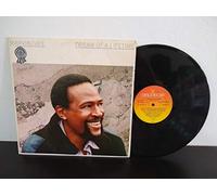 Marvin Gaye - Marvin Gaye - Dream Of A Lifetime - [LP]