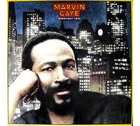Marvin Gaye - Midnight Love