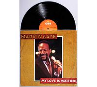 Marvin Gaye - My Love Is Waiting [Vinyl Single 12'']