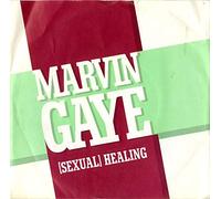 MARVIN GAYE - (Sexual) Healing - P/S