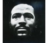 Marvin Gaye - Valnerable [Import]