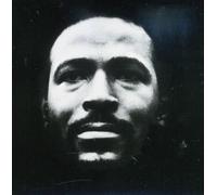 Marvin Gaye - Vulnerable (Jpn) (Mlps)
