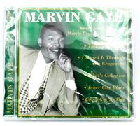 MARVIN GAYE - WHAT'S GOIN' ON? (MARVIN GAYE LIVE IN CONCERT)