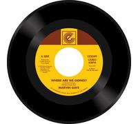 Marvin Gaye Where Are We Going?/Woman of the World (Vinyl) 7" Single
