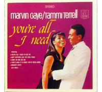 Marvin Gaye - You're All I Need to Get by