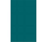 Mary 2nd, Queen of England Hester W. Chapman (Auteur)