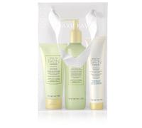 Mary Kay Set de mains - Satin Hands - Thé Blanc et Agrumes