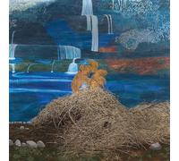 Mary Lattimore - At The Dam [Vinyl Lp]