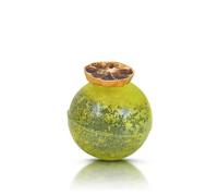 Mary Rose Citrus Gentleman (mini) - L’élégance du thé noir aux notes d’agrumes