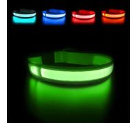 MASBRILL Collier Lumineux Chien, Collier LED Chien Rechargeable et Etanche, Collier de Chien Clignotant avec 3 Modes, Réglable Sécurité Collier pour Petits Moyens Gros Chiens, Vert L
