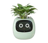 Masdio Pots de Fleurs intelligents, avec Intelligence Artificielle, Affichage de l'heure et de Nombreuses animations expressives basées sur l'environnement, pour décoration intérieure (Vert)