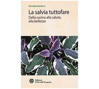 Maselli, T: Salvia Tuttofare. Dalla Cucina Alla Salute, Alla