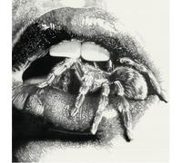 MASHEENA - LET THE SPIDERS IN