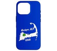 Mashpee MA Mass 02649 Souvenir d'été Cape Cod Coque pour iPhone 16 Pro