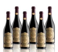 MASI "COSTASERA" 2021 | Amarone della Valpolicella Classico DOCG | 6x750 ml | Emballage de 6 bouteilles