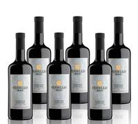 MASI "MODELLO CORVINA" 2024 | Corvina Verona IGT | 6x750 ml | Emballage de 6 bouteilles