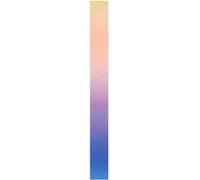 Masking tape arc-en-ciel Multicolore G
