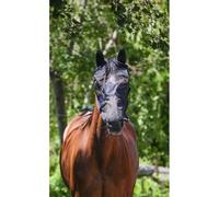 Masque anti-mouches à filet fin pour cheval Equithème Noir Poney