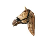 Masque anti-mouches pour cheval Kentucky Marron M