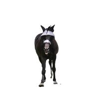 Masque anti-mouches pour cheval Lami-Cell Easyfit Gris S