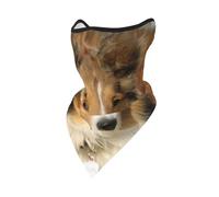 Masque Coupe-Vent avec Adorable Motif Sheltie, Cache-Cou et Protection pour Le Visage en Hiver pour Motard.