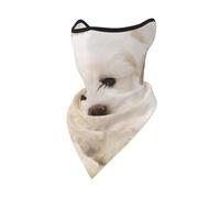 Masque Coupe-Vent imprimé d'un Adorable Chiot Maltais, Cache-Cou d'hiver pour Motard