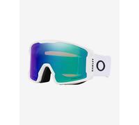 Oakley Line Miner L Lunettes de ski L Multicolore