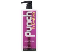 Masque Punch Ta Couleur Cheveux Colorés Et Méchés 500 Ml - Ducastel