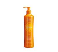 Masque Restructurate Hydratante FANOLA Wonder Révitalisant Végétalien 350ml