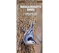 Massachusetts Birds: A Folding Pocket Guide to Familiar Species
