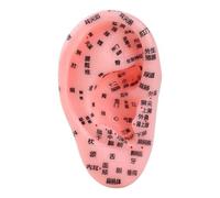 Massages des oreilles - Modèles d'oreille simulés | Oreille avec points | Modèle de zone d'oreille pour l'apprentissage du massage | Accessoires de cours scolaires débutants pour la famille, les amis