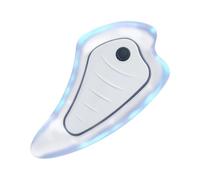 Massageur Facial Rouleau Électrique Rechargeable par USB
