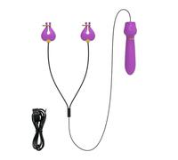 Masseur personnel silicone 2 en 1 multi-mode for femmes | Vibrateur électrique avec commande manuelle, à batterie, une unité(Nipple toy 2)