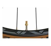 Massi Adaptateur De Valve Presta To Schrader 65098 10 Unités