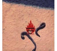 Massive Attack - Massive Attack - Massive Attack E.P. - (Generic Sleeve) - Wild Bunch Records