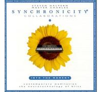 Master Charles Cannon - Collaborations: Into the Moment (Synchronicity)