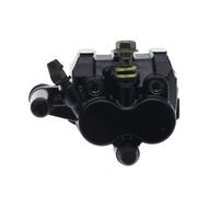 Master-cylindre compatible de l'étalard de disque de frein avant Compatible avec CA250 DD250 Storm Prince Apollo Motorcycle(Lower left pump)