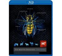 Master Designer-The Song [Blu-Ray]